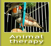 Animaltherapy