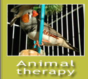Animaltherapy