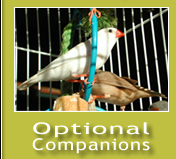 Optional Companions