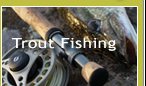 Trout Fishing