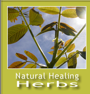 Natural Healing Herbs