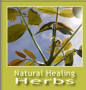 Natural Healing Herbs