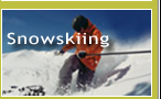 Snowskiing
