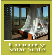 Luxury Solar Suite
